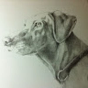 Meet your Posher, Bruce